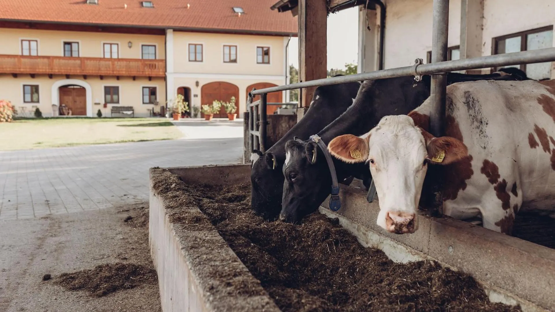 Am Schmiedhof Chaletapartments Neueroeffnung! Vogtareuth